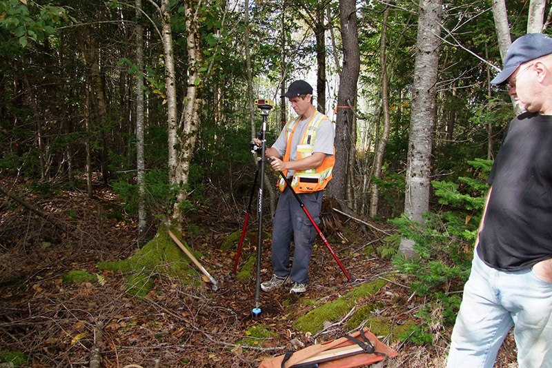 Surveyors in the woods