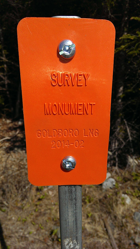 Surveyor monument marker